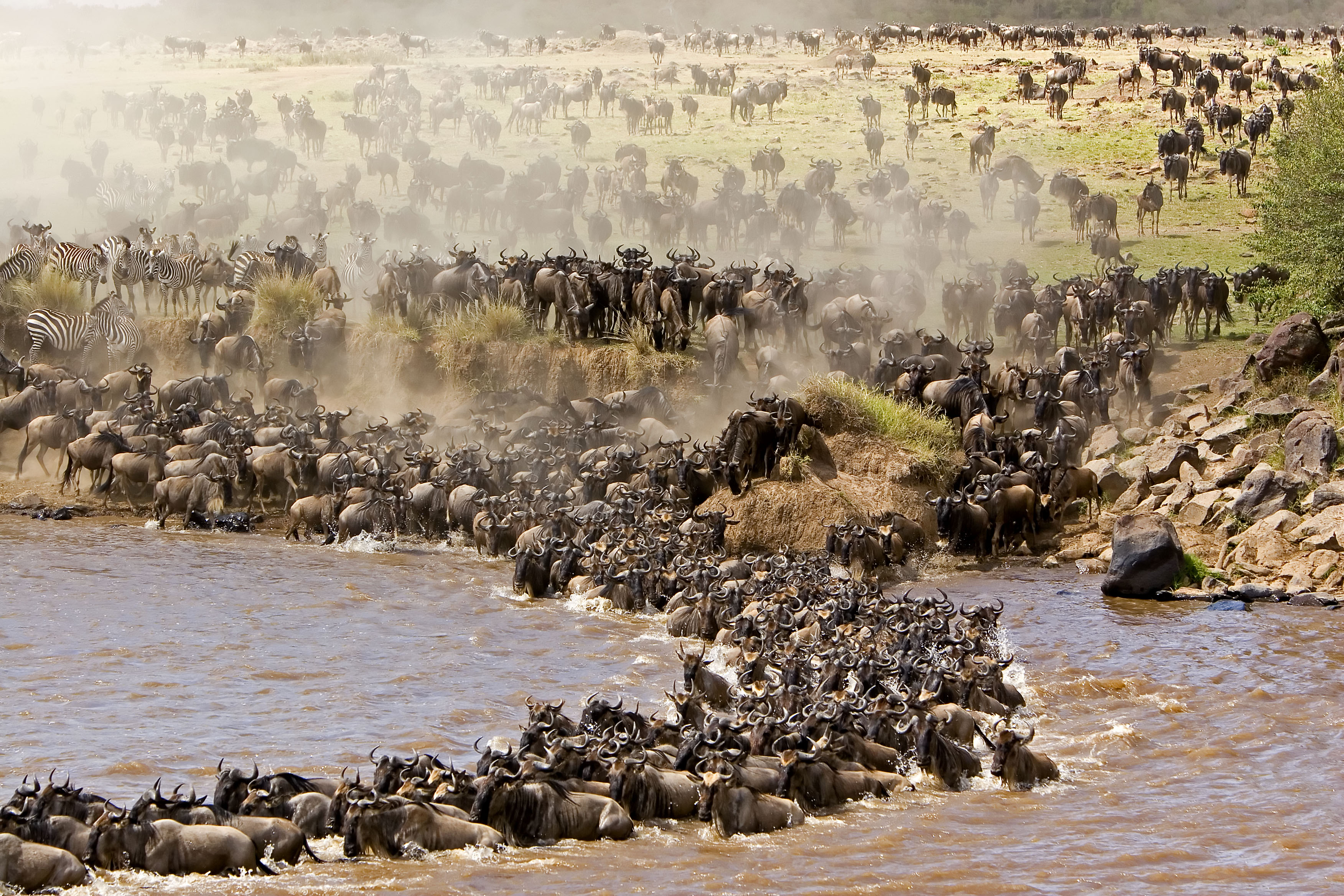 Our Top 5 Mobile Camps to Experience the Great Migration