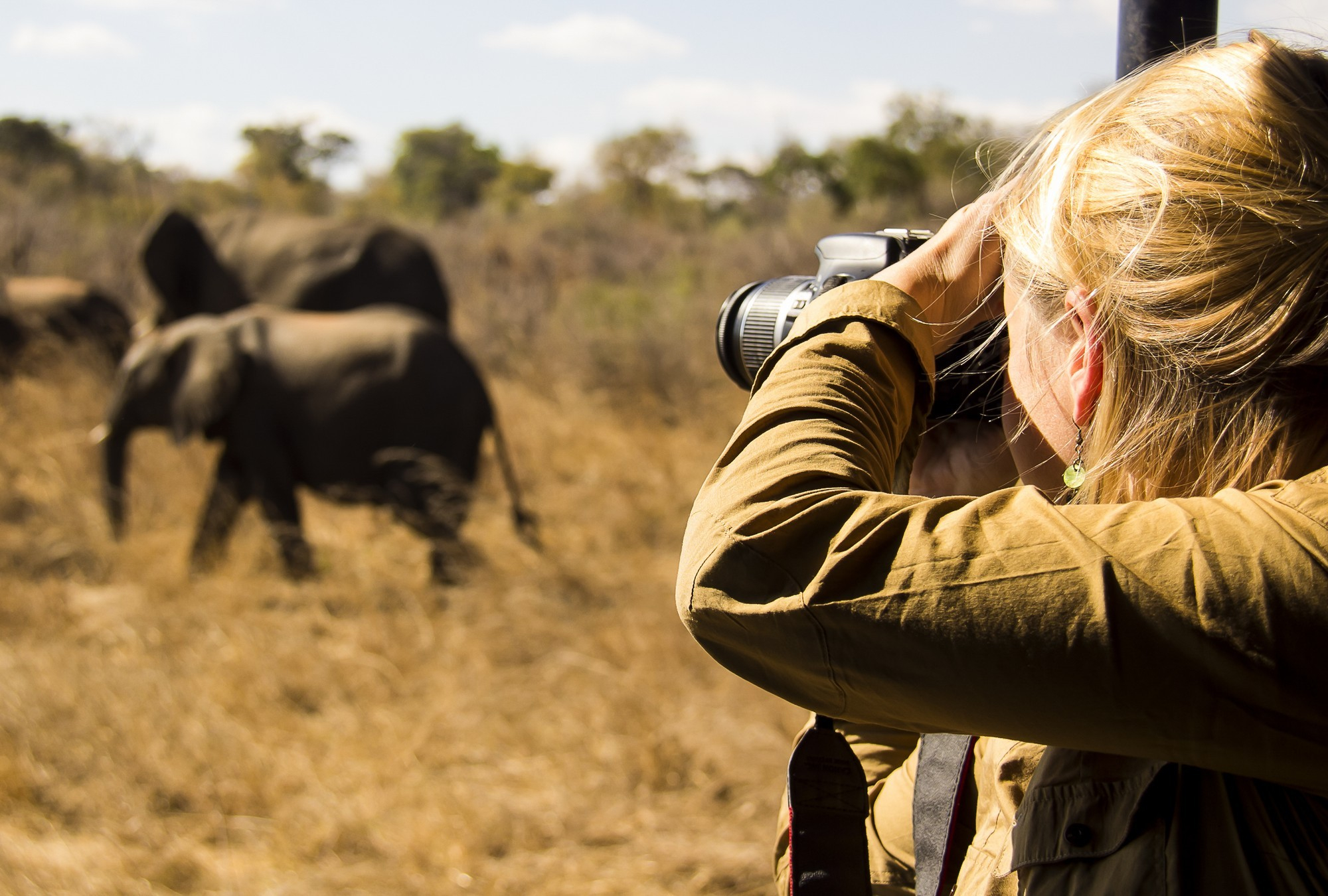wildlife photography tours in africa