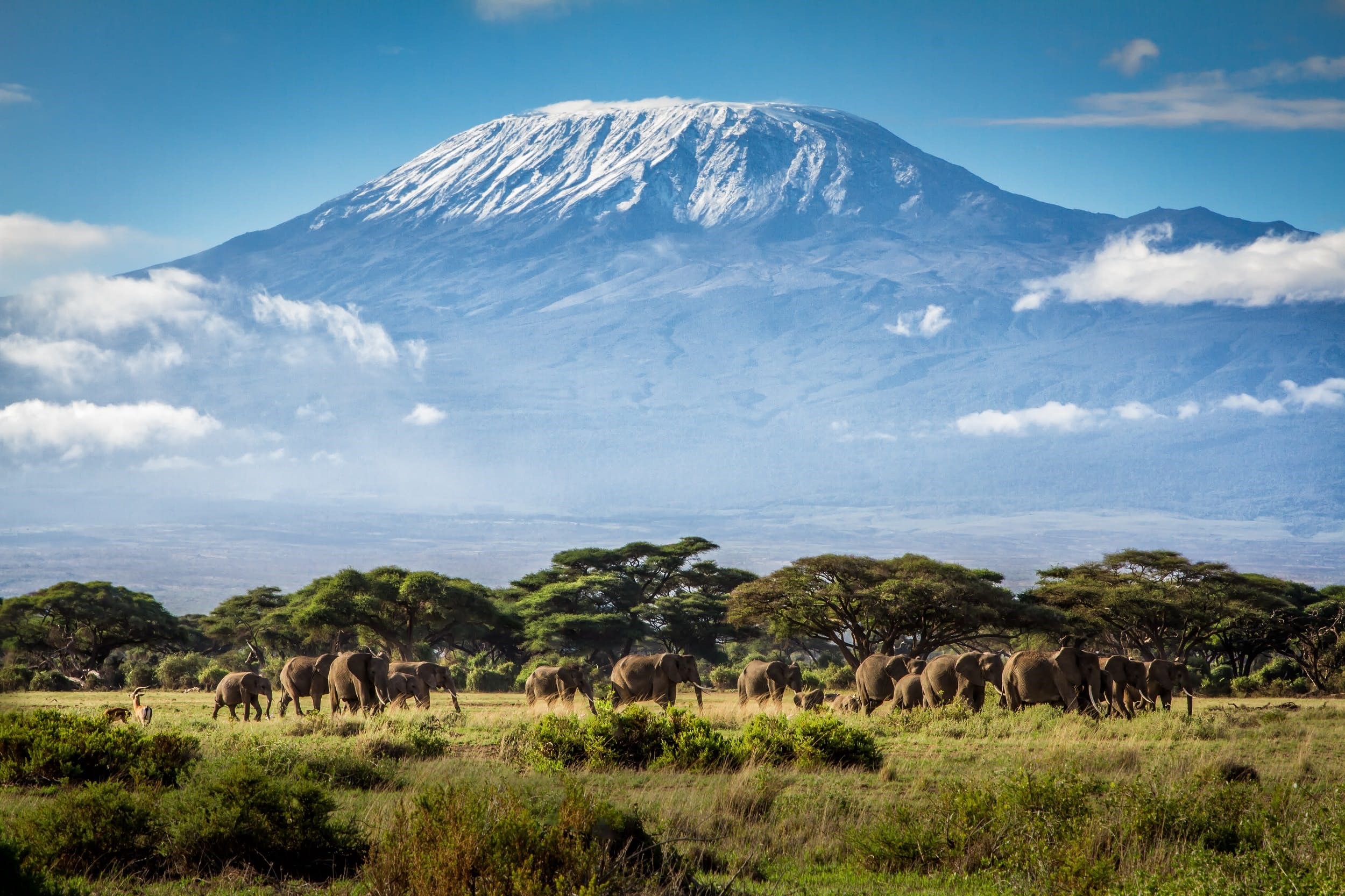 Национальный парк каким названием есть в африке. Танзания Килиманджаро. Танзания гора Килиманджаро. Вулкан Килиманджаро. Танзания сафари Килиманджаро.