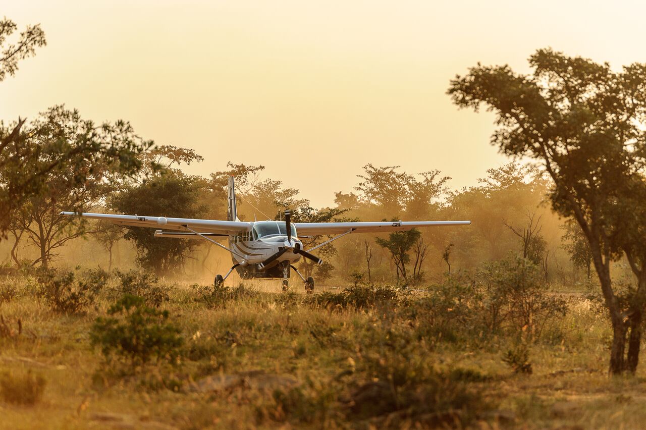 safari air wing