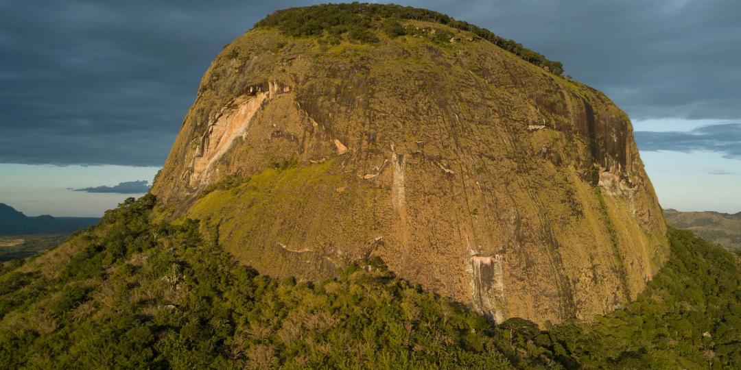 A secret rainforest at the heart of a volcano has been discovered in Mozambique.