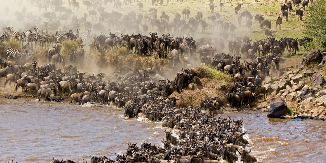 Kenya’s Tourism and Wildlife Cabinet Secretary launches new tourism campaign, leveraging the country’s naturally occurring wildebeest and whale migrations.