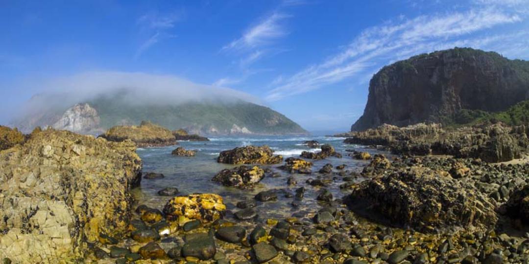 Knysna’s Featherbed Private Nature Reserve was almost completely destroyed in June last year. Credit: Featherbed Co.