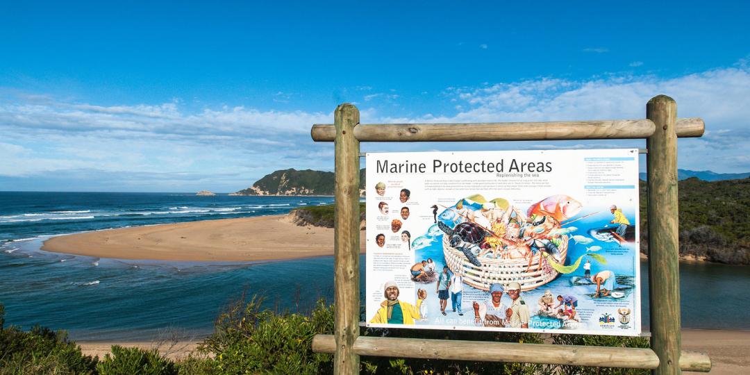 South Africa’s Cabinet approved a network of 20 Marine Protected Areas last week, a move that will positively affect marine eco-tourism. Credits: Marine Protected Areas South Africa.