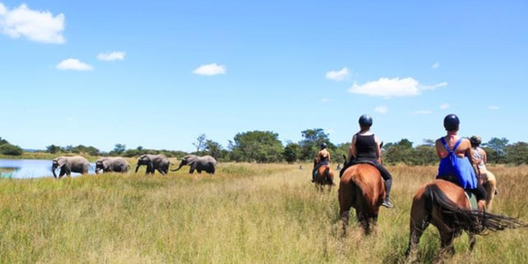 Some of the best wildlife can be seen from horseback.