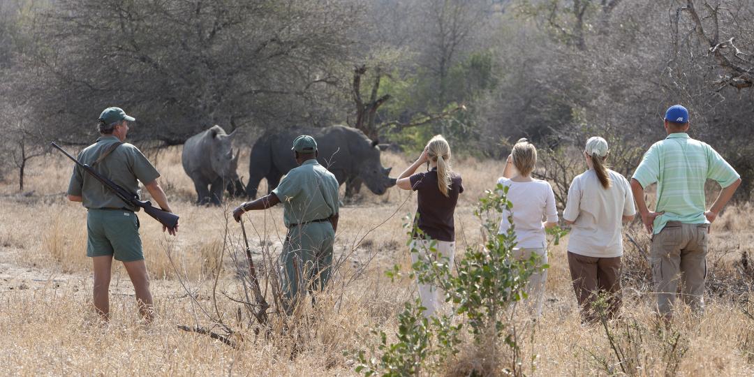 Rhino Walking Safaris Credit: Guy Upfold