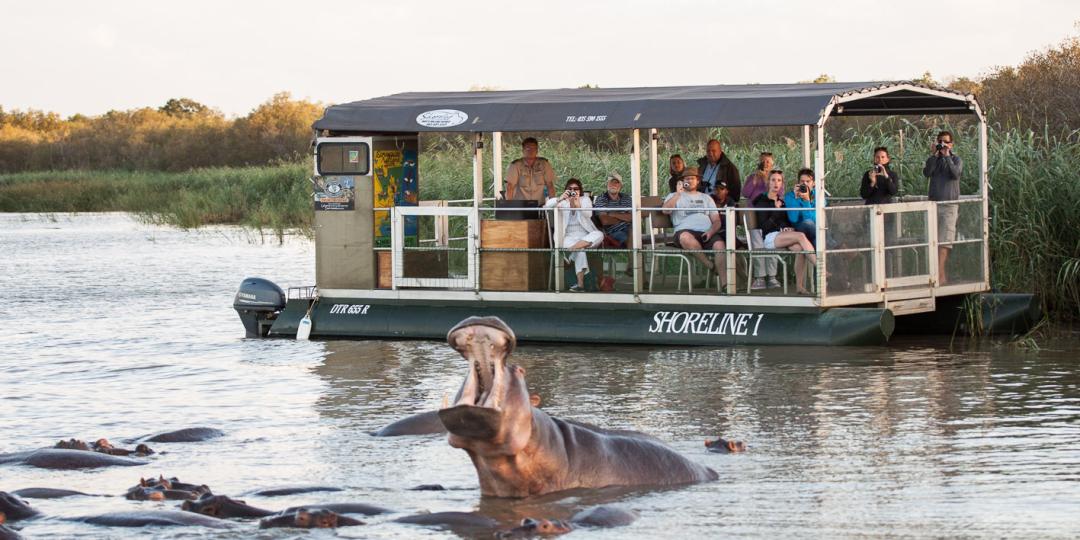 Shoreline hippo and croc tours