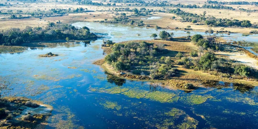 The Okavango Delta, where tourist guide Dutch Bihelang Kasale grew up and now guides.