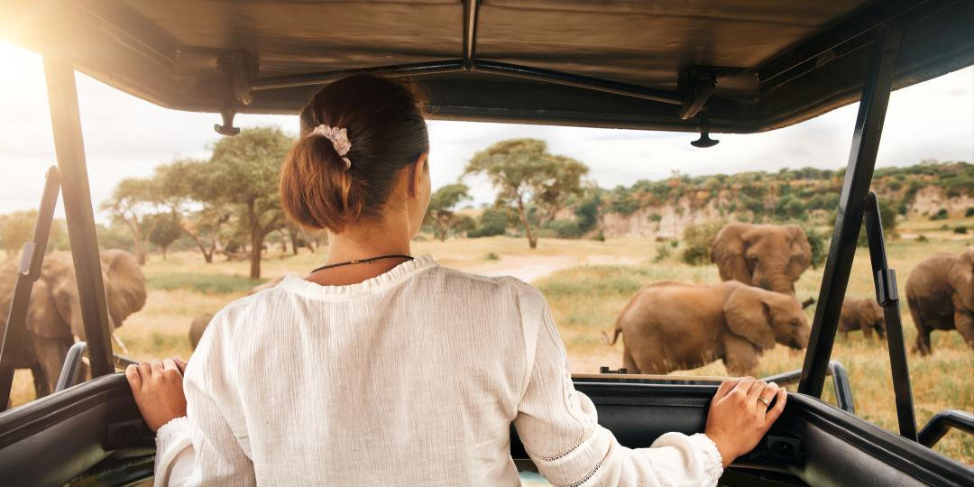 A private vehicle game drive, image courtesy of Ker & Downey