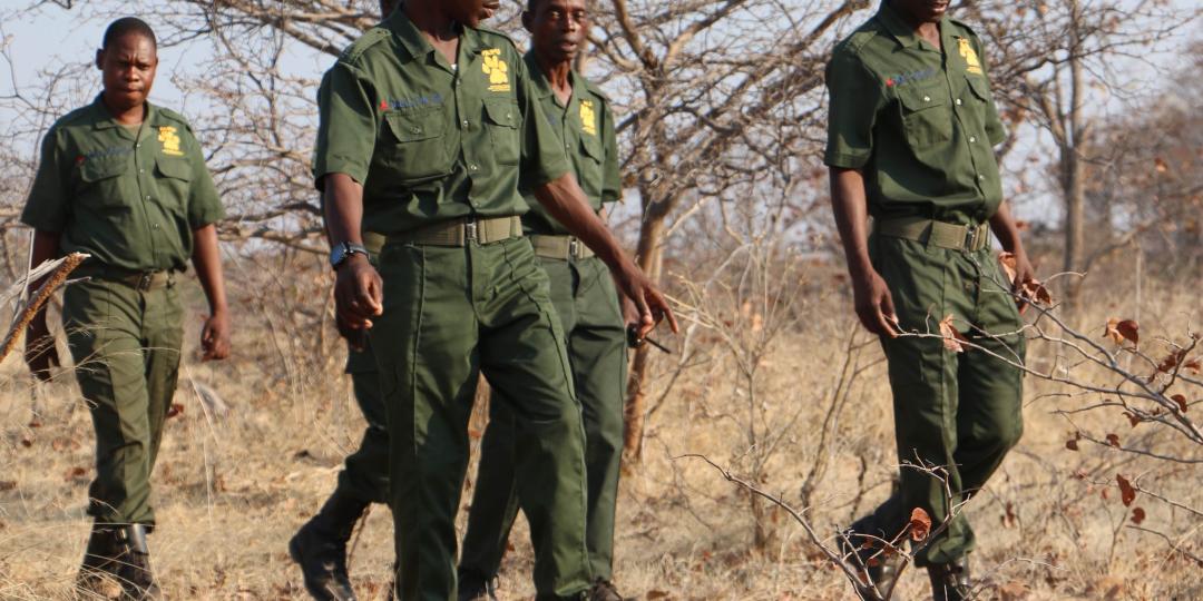 Victoria Falls anti-poaching unit scouts on patrol.