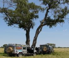 The Okavango Delta is one of the most sought-after wilderness destinations in the world.
