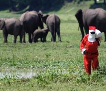 Opting for warmer weather, vibrant beaches, and authentic safari experiences, international travellers flock to Africa for a unique, Christmas experience in the sun.