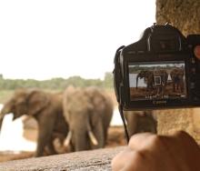 Kenya Tourism Board partners with travel agents. Image credit: mwFilm.