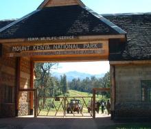 Improved access through upgraded roads enhances tourist visits to national parks. Image credit: Goldenmemories.co.ke