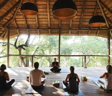 Facing the demands of modern-day society, more and more travellers are opting for wellness experiences when visiting southern and East Africa. Image: Safari yoga at Londolozi.