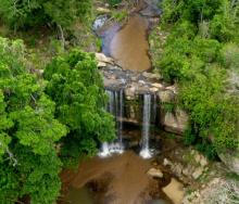 The scenic Sheldrick Falls has been earmarked for a new zipline.