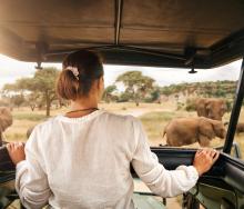 A private vehicle game drive, image courtesy of Ker & Downey